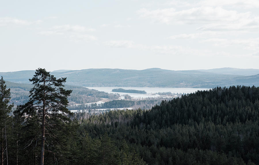 swedish mountain tanks swedish mountain tanks
