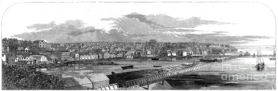 View Of The City Of Auckland, New Drawing by Print Collector