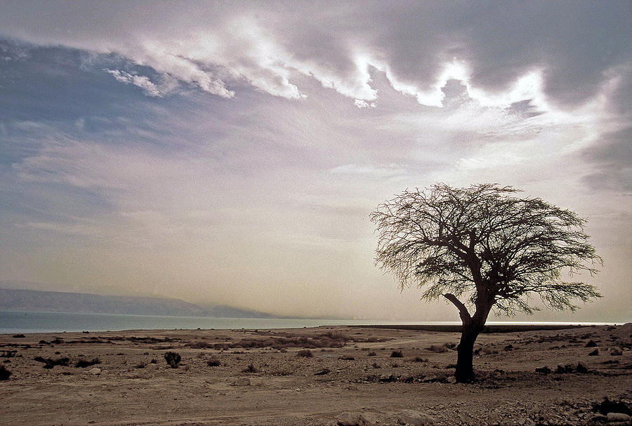 Winter Photograph - View of the Dead Sea by Alon Mandel