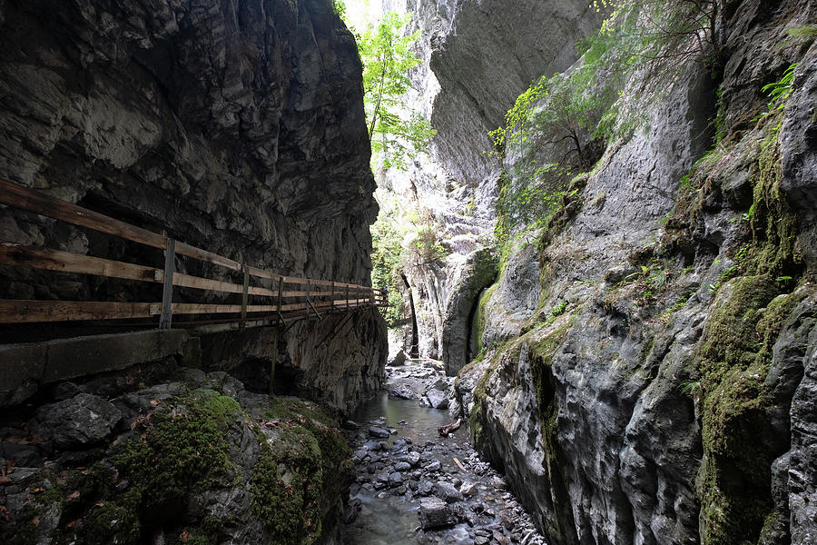 View Of The Holzsteig Through The Alploch, Rappenloch Gorge Hike ...