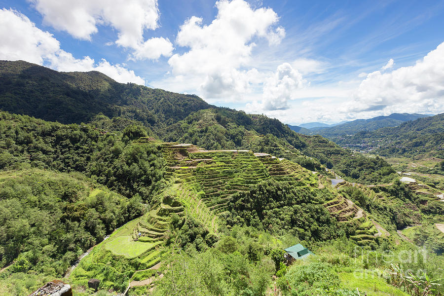 View of the rice terraces as seen from the Banaue viewpoint, Ban ...