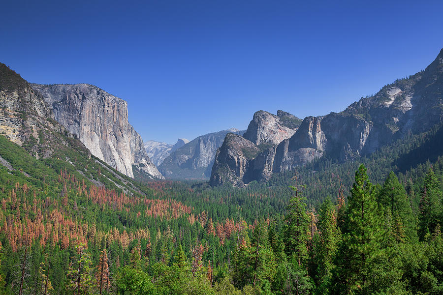 View Of The Woods And Rocks Of Yosemite National Park From The Viewpoint Tunnel View, Usa Photograph by Bastian Linder