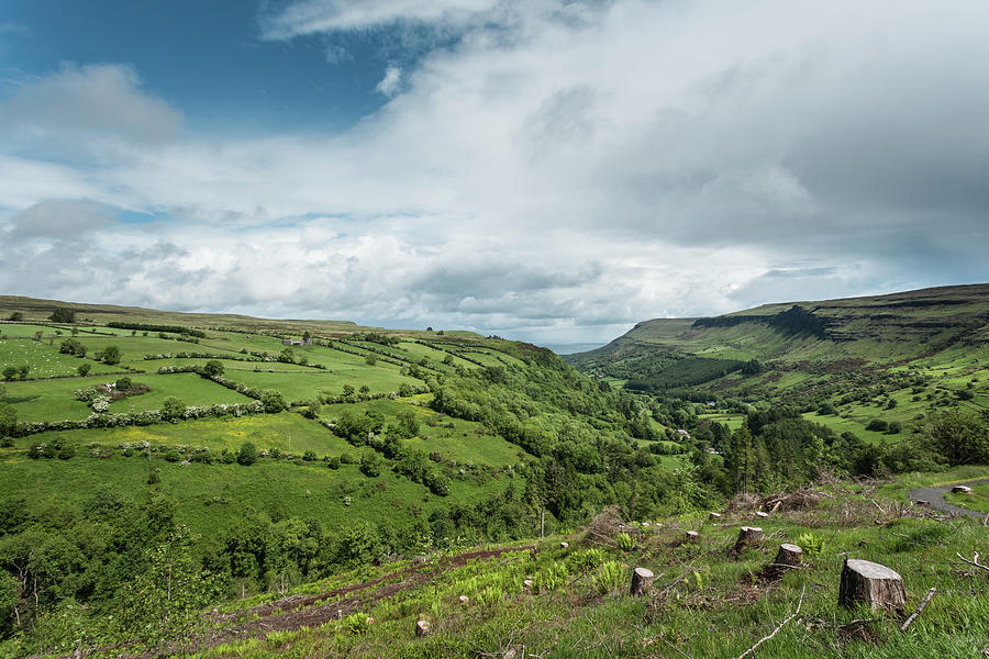 View Of Tree Stumps And Fields, Glenariff, County Antrim, Northern ...