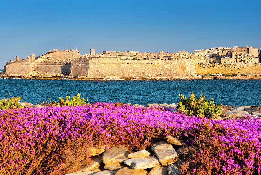 View Of Valletta And City Ramparts Photograph by Nico Tondini