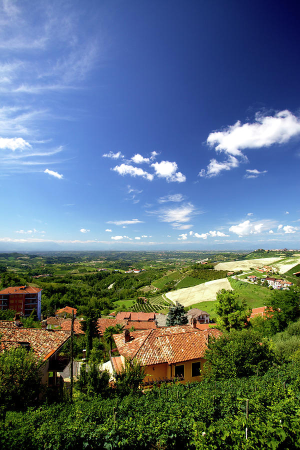 View Of Vineyard In Monforte Dalba In Piedmont, Italy Photograph by Jalag / Herbert Lehmann
