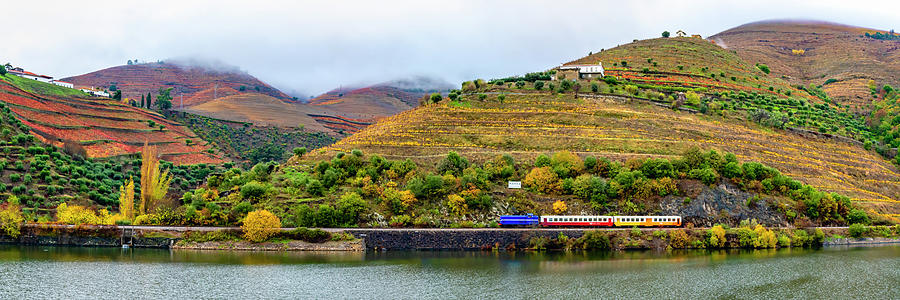 View Of Vineyards And Train Close Photograph by Panoramic Images
