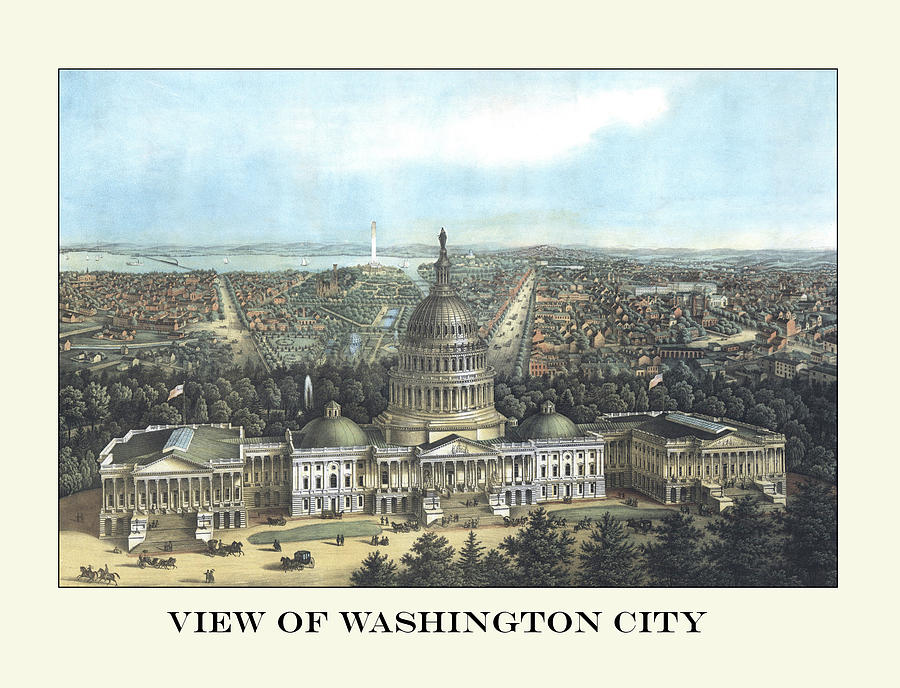 View of Washington City Painting by 