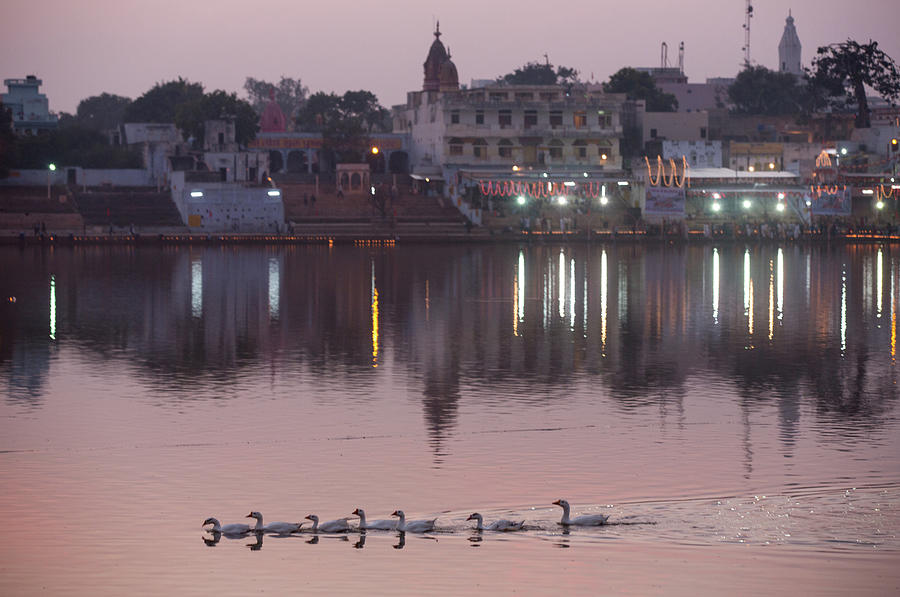 Goose Digital Art - View Of Waterfront Buildings And Geese Swimming On Pushkar Lake At Dusk, Rajasthan, India by Michael Truelove