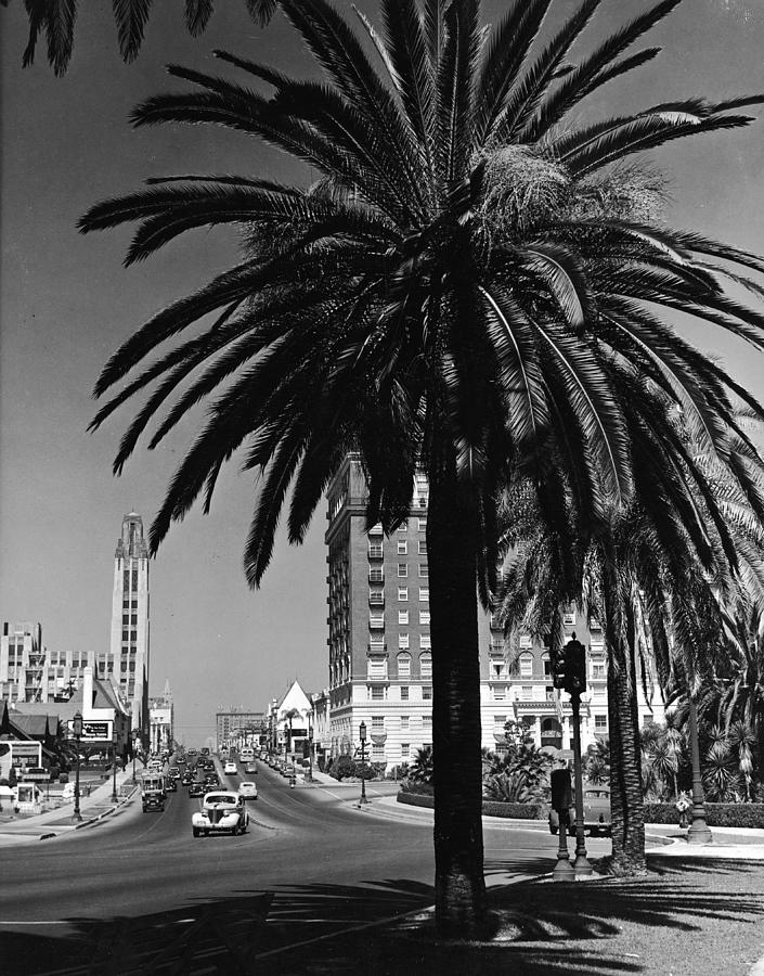 View Of Wilshire Boulevard, Los Angeles Photograph by R. Gates