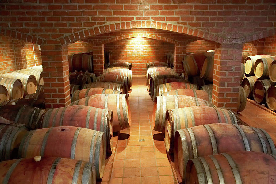 View Of Wine Barrels In Wine Cellar At Ken Forrester Winery