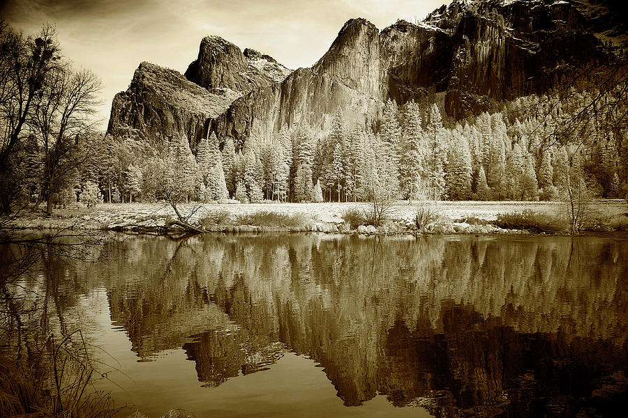 View Of Yosemite Photograph by Buyenlarge