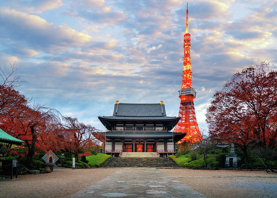 View of Zojo ji Temple and Tokyo Tower in morning sunrise Photograph by ...