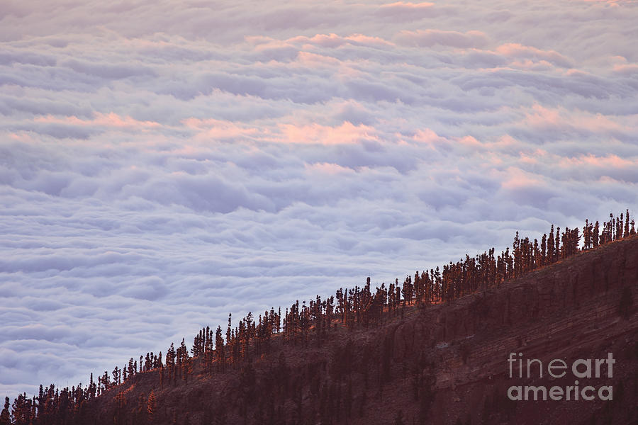 View On Clouds And Forest At Sunset Photograph by Stanislaw Pytel