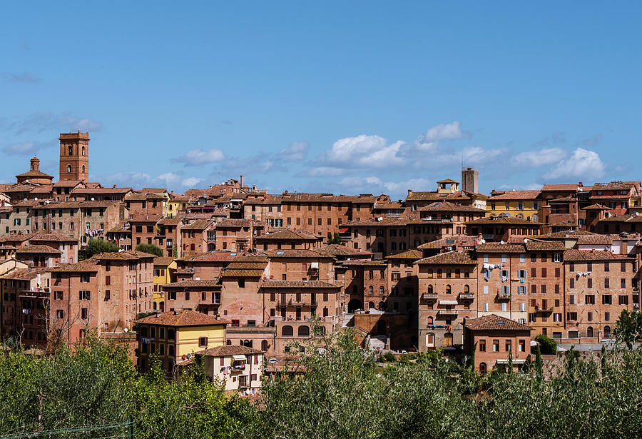 View on the city of Siena Photograph by Tosca Weijers