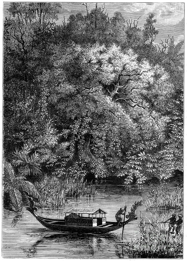View On The Dodinga River, New Guinea Drawing by Print Collector