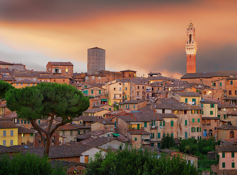 View Over Rooftops Towards Piazza Del Photograph by Shaun Egan