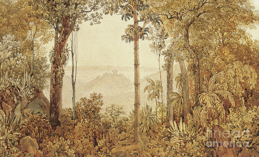 View overlooking Rio de Janeiro from the Tijuca forest  Painting by Thomas Ender