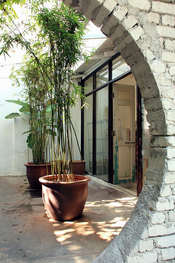 View Though Partially Visible Circular Opening Into Courtyard With Potted Bamboo In Front Of Terrace Windows Photograph by Steven Morris