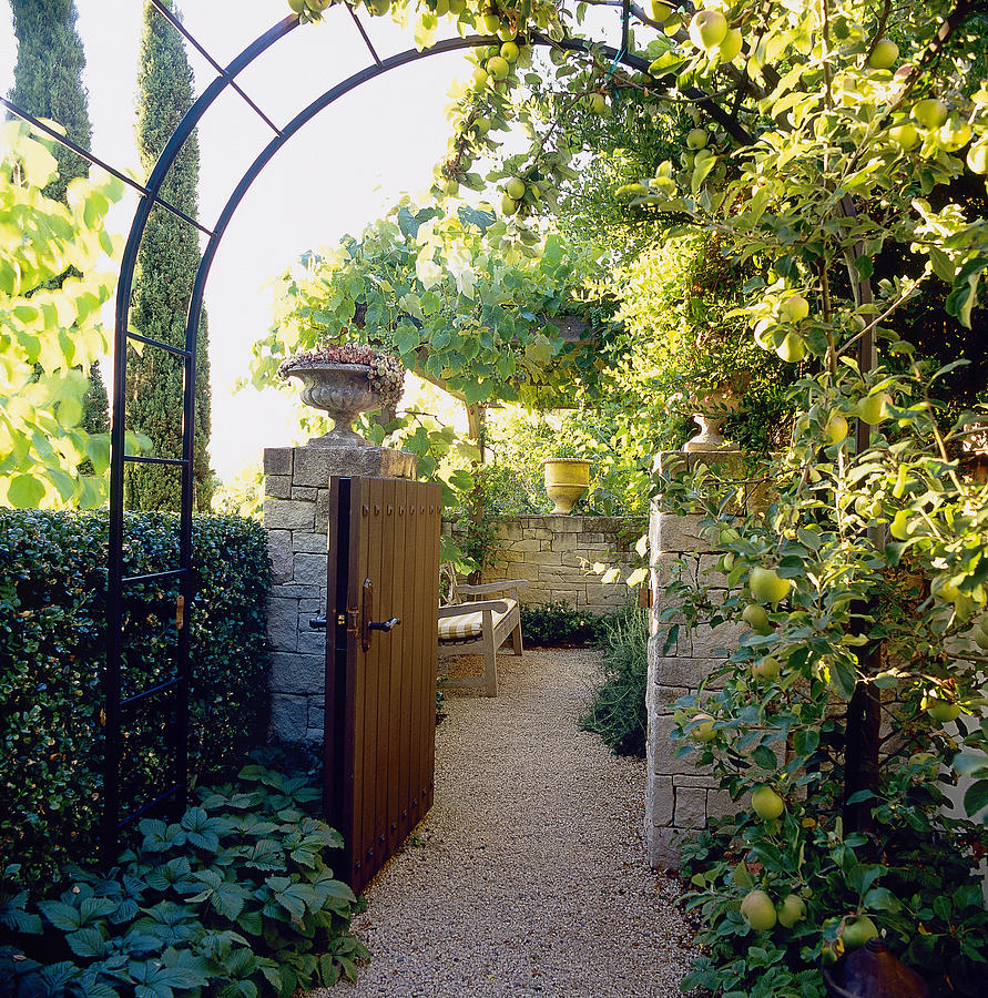 View Through Gate To Garden Bench Photograph By Richard Felber
