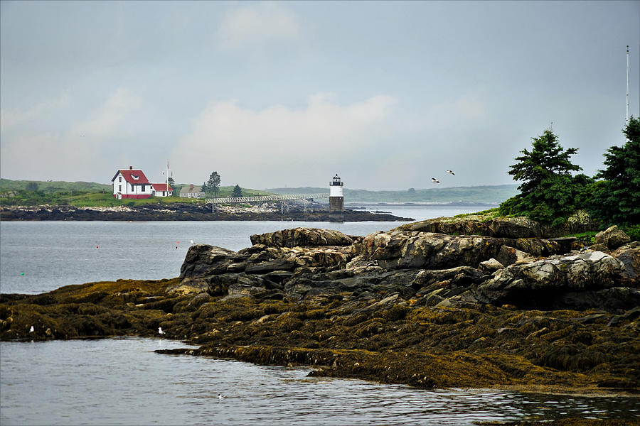 View To The Lighthouse Photograph