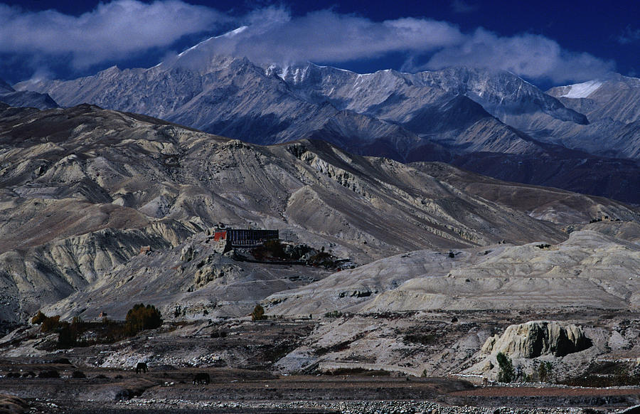 View Towards Namgyal Gompa And The Photograph by Richard Ianson