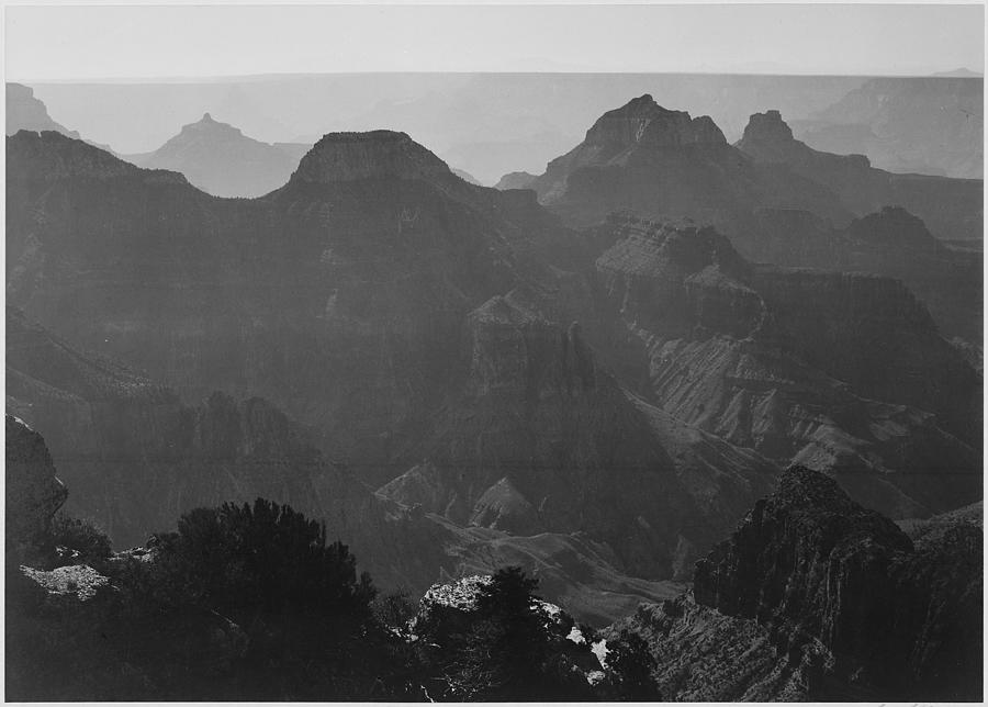 View with shrub detail in foreground Grand Canyon National Park Arizona. 1933 - 1942 Painting by Ansel Adams