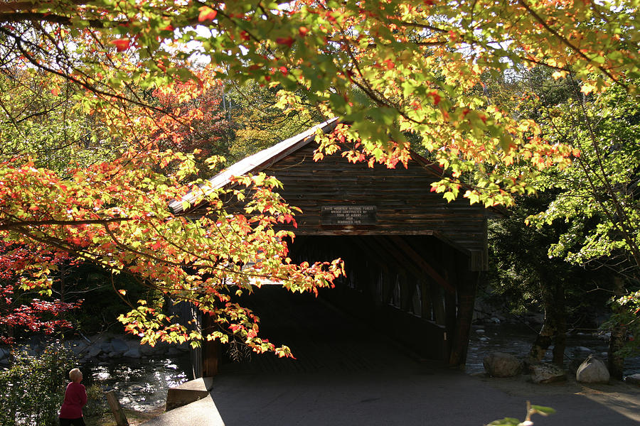 Viewing the Albany Covered Bridge by Jeff Folger Viewing the Albany Covered Bridge by Jeff Folger
