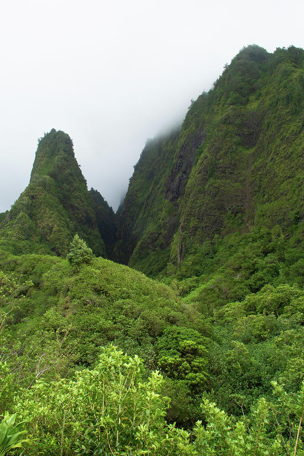 Views of Iao by Marie Leslie Views of Iao by Marie Leslie
