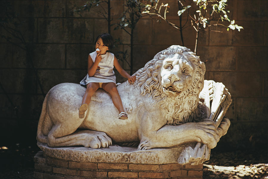 Villa Borghese Lion Photograph by Slim Aarons Villa Borghese Lion Photograph by Slim Aarons