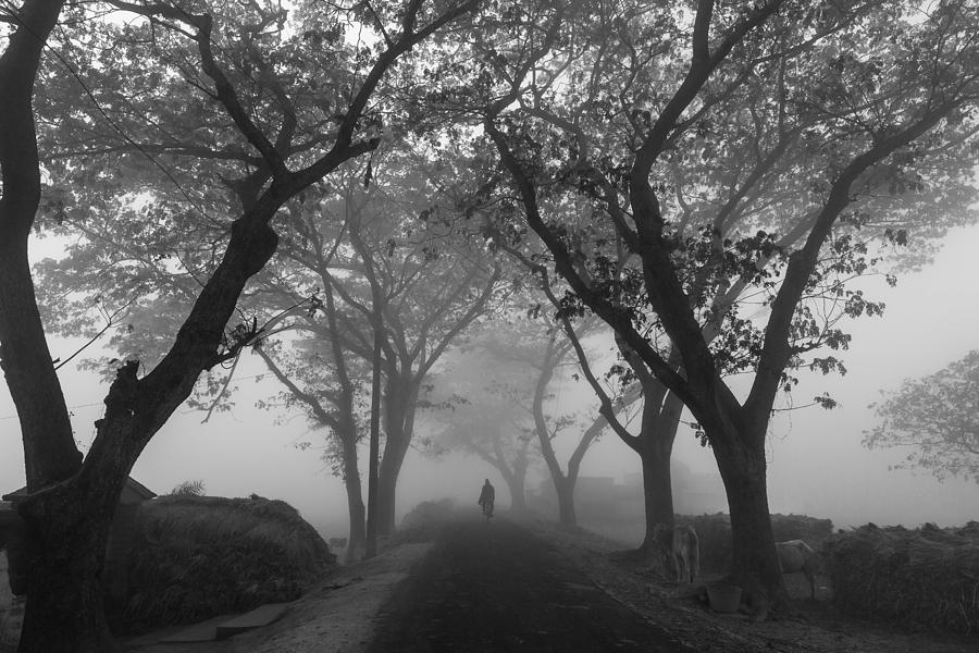 Village Road In Morning Fog Photograph by Souvik Banerjee