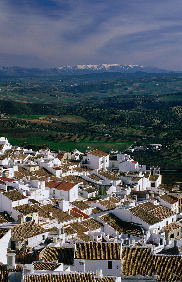 Village Rooftops And Distant by David Tomlinson