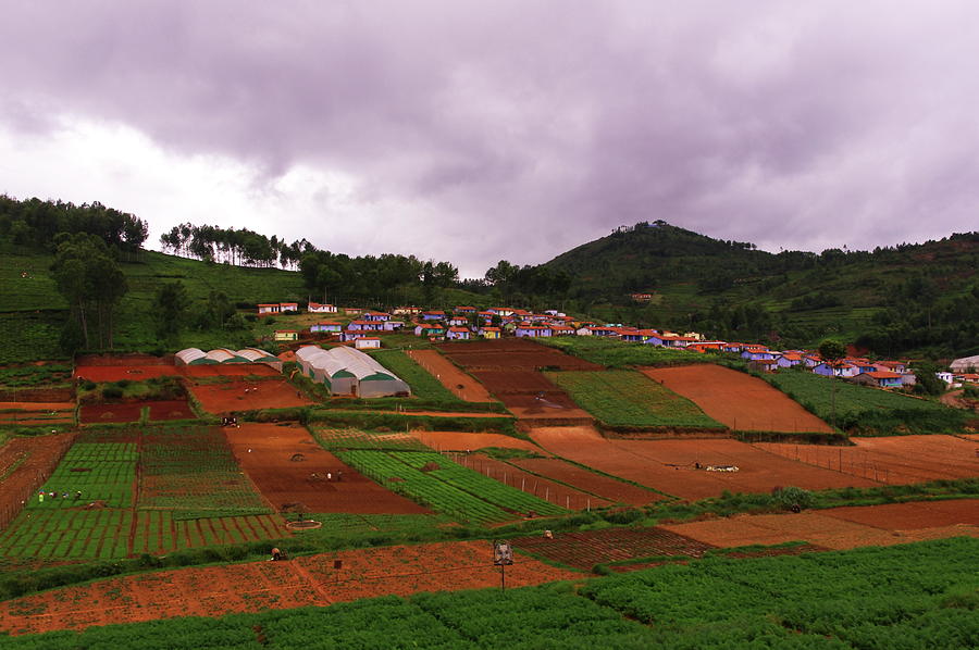 Village View Photograph by Kumaravel
