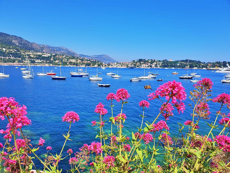 Villefranche Harbor Photograph by Andrea Whitaker