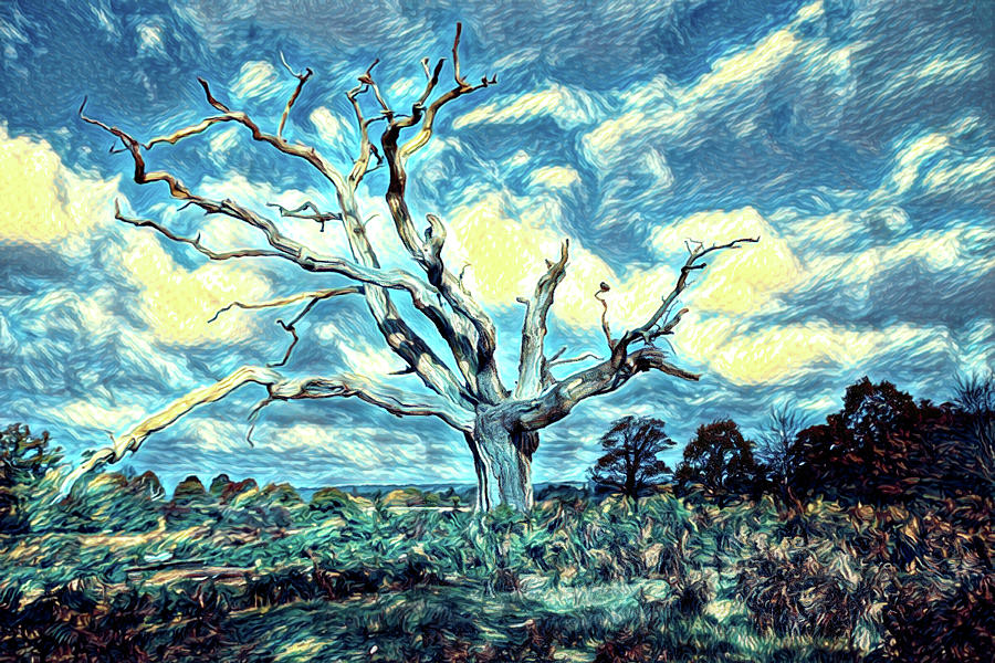 Vincent van Gogh style Tree Digital Art by Roy Pedersen