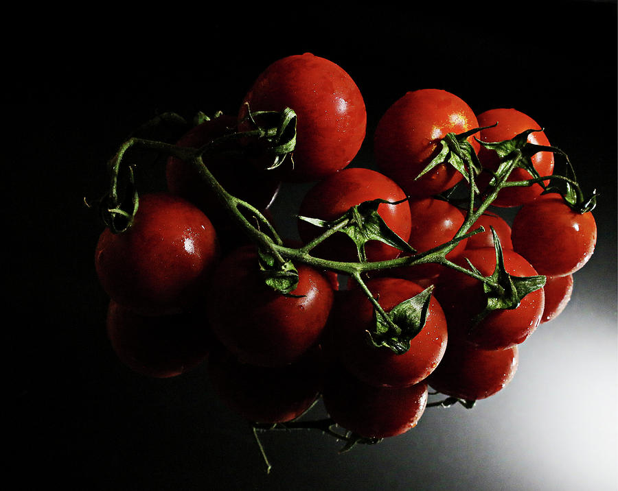 Vine tomatoes Photograph by Martin Smith