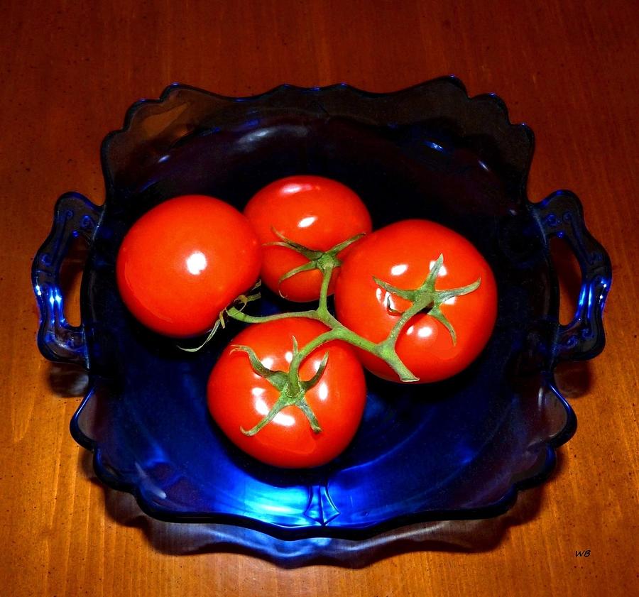 Vine Tomatoes Still Life Photograph by Will Borden