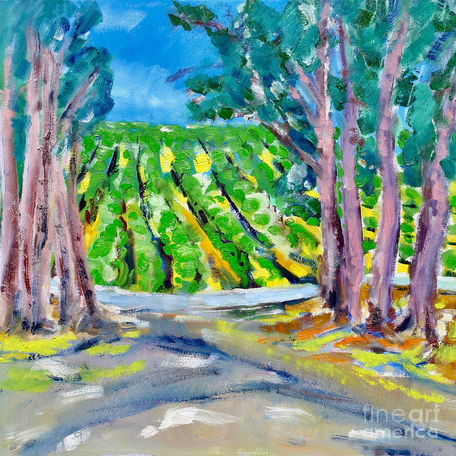 Vineyard Beyond The Trees Painting by Richard Fox