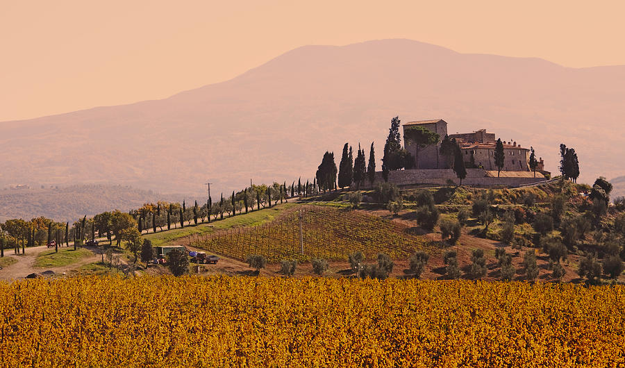 Vineyard Castle In Tuscany Photograph by Rolphus