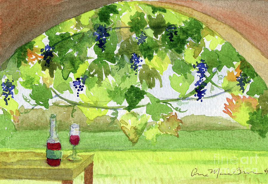 Vineyard Dreams by Anne Marie Brown Vineyard Dreams by Anne Marie Brown