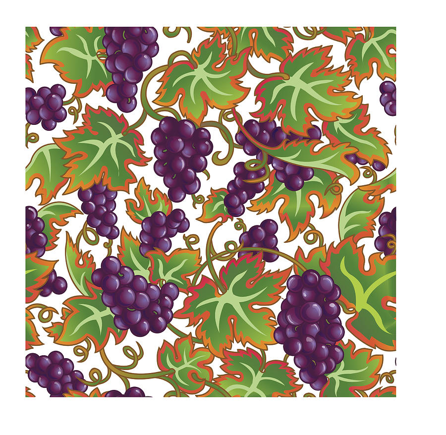 Grape Vines Digital Art - Vineyard Dreams by Julie Goonan