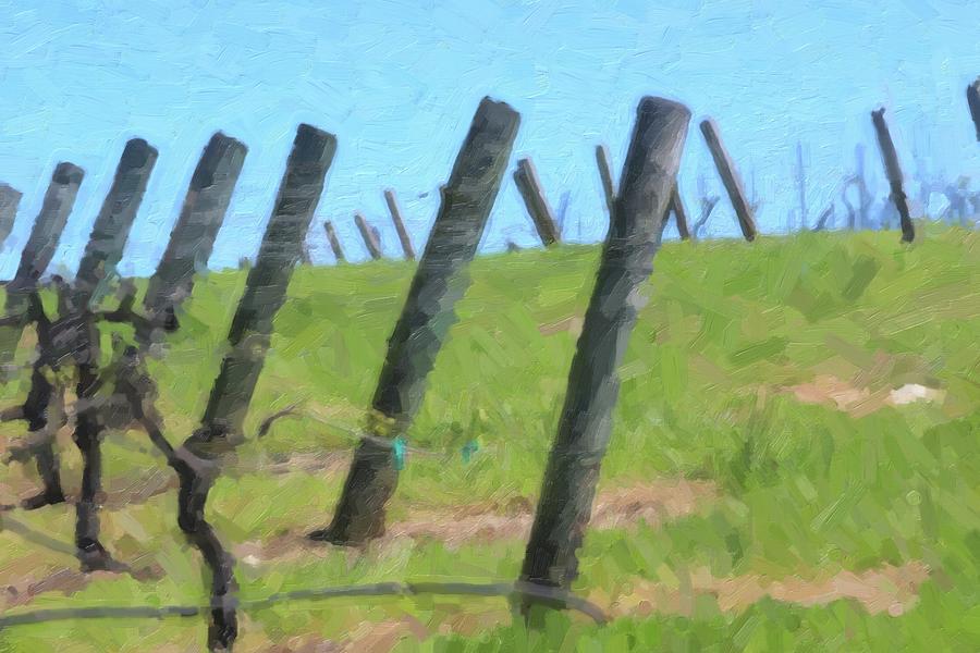 Vineyard Posts In Spring 2 by Cathy Lindsey Vineyard Posts In Spring 2 by Cathy Lindsey