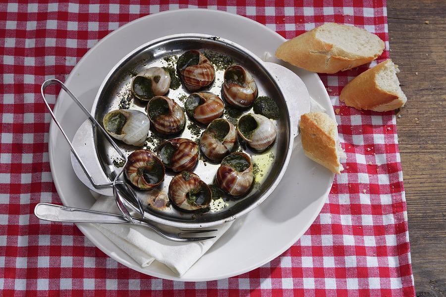 Vineyard Snails With Herb Butter And Baguette Photograph by Frank