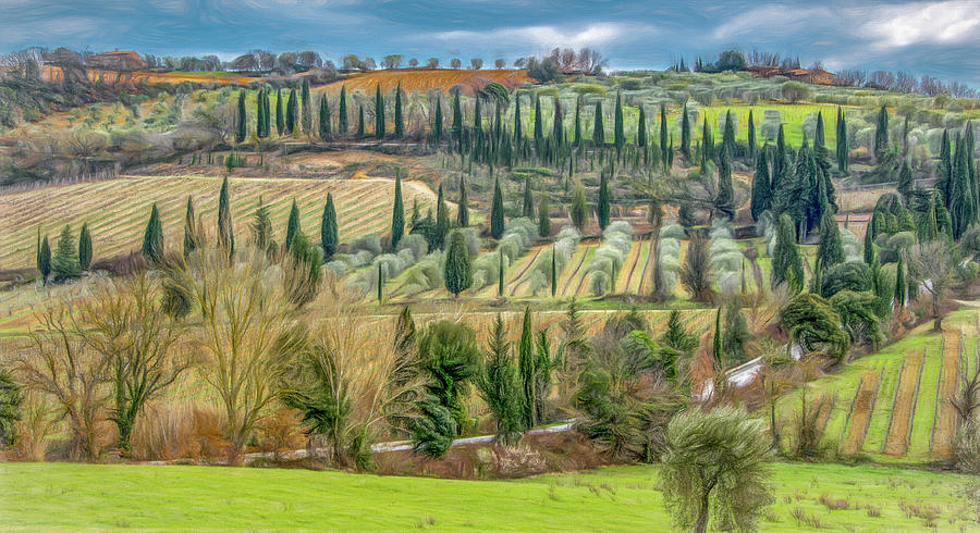 Vineyard View of Tuscany, Painterly  Photograph by Marcy Wielfaert