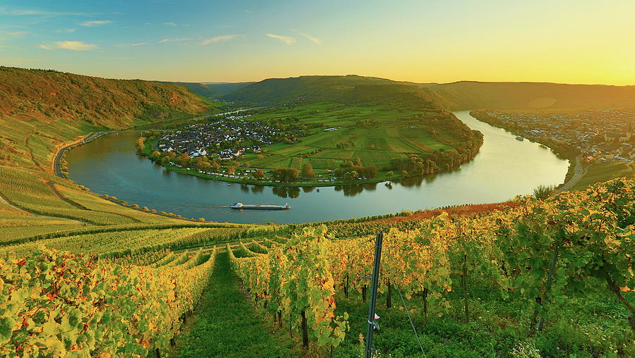 Vineyards Along Loop On Moselle River Digital Art by Spiegelhalter ...