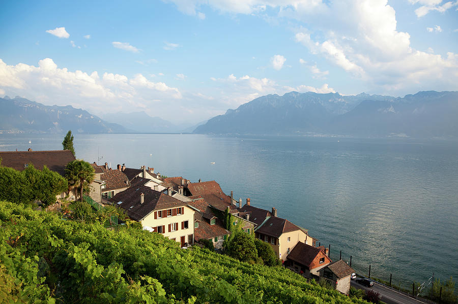 Vineyards Around Lake Leman, Montreux Photograph by Onfokus