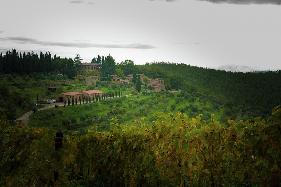 Vineyards of Chianti Photograph by Mark Duehmig