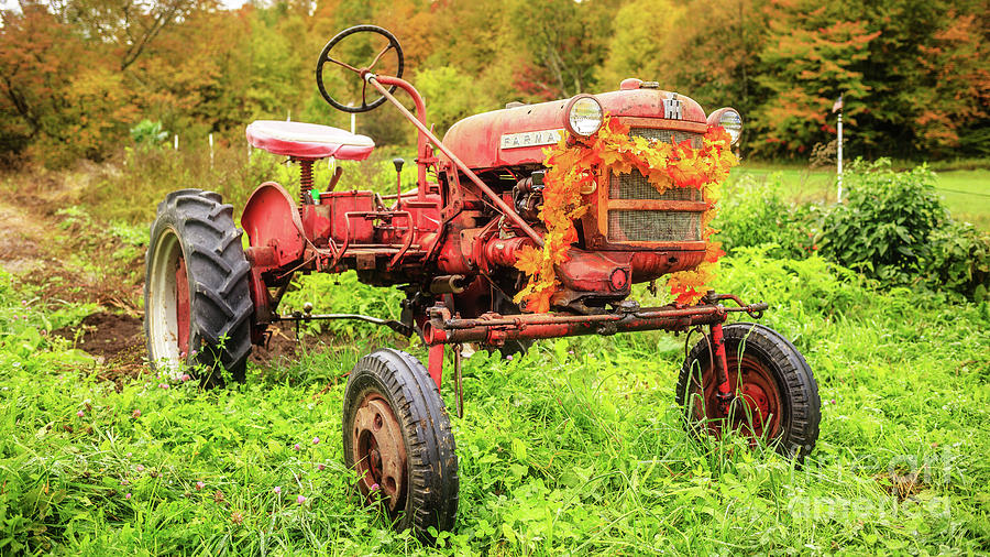 Vintage 1962 Farmall Cub Farm Tractor Autumn Grantham NH Photograph by Edward Fielding