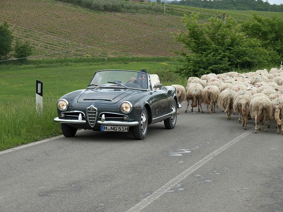 Vintage Alfa Romeo >> Vintage Alfa Romeo Giulia Tuscany Vintage Alfa Romeo >> Vintage Alfa Romeo Giulia Tuscany