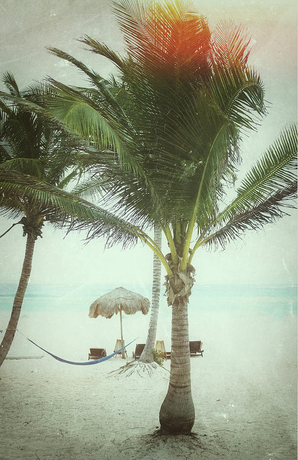 Vintage Beach Scene Photograph by Nathan Blaney Vintage Beach Scene Photograph by Nathan Blaney