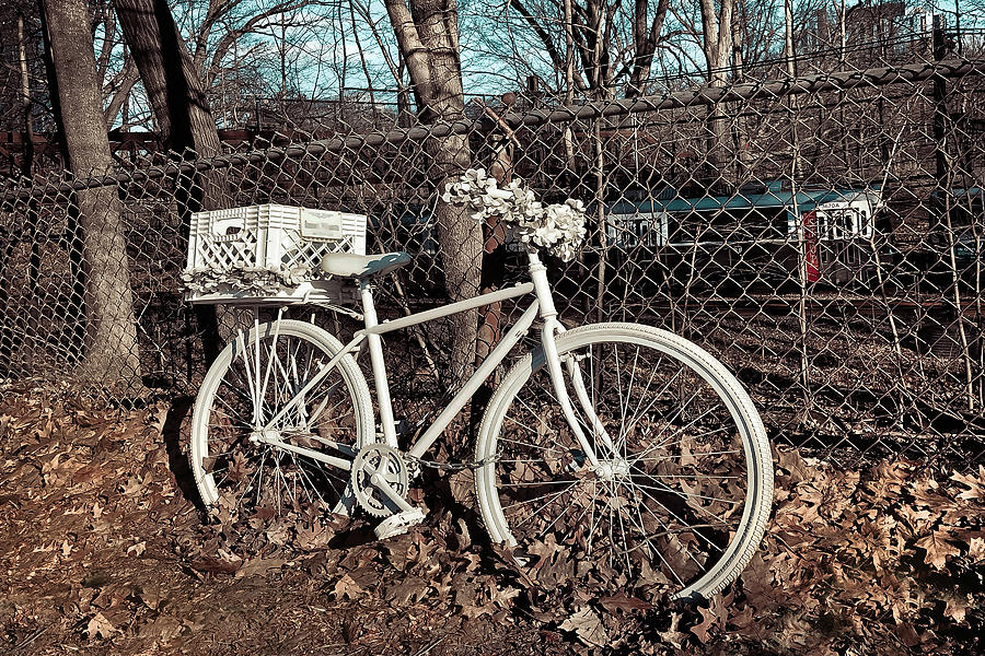 Vintage Bicycle Photograph by Joann Vitali